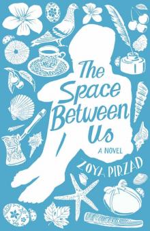      The Space Between Us